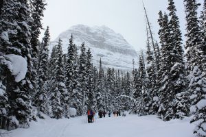 Winter Snowshoe 2016