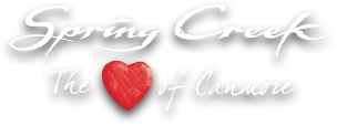 Spring Creek Real Estate